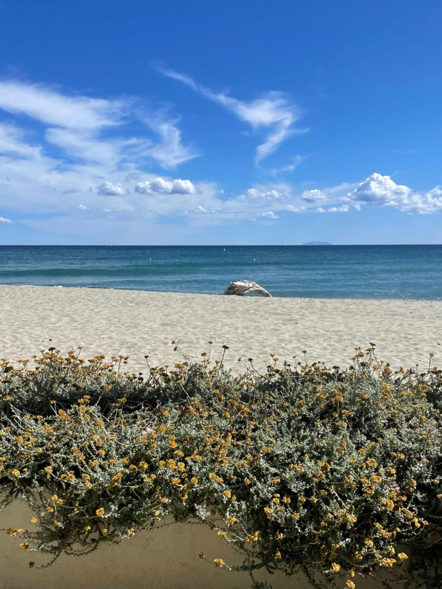 Residence Pascal Paoli Fior Di Mare Moriani-Plage Zewnętrze zdjęcie